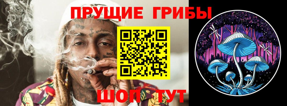 Codein Губаха