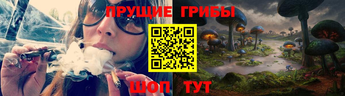 Губаха  Галлюциногенные грибы прущие грибы  Вход с VPN 